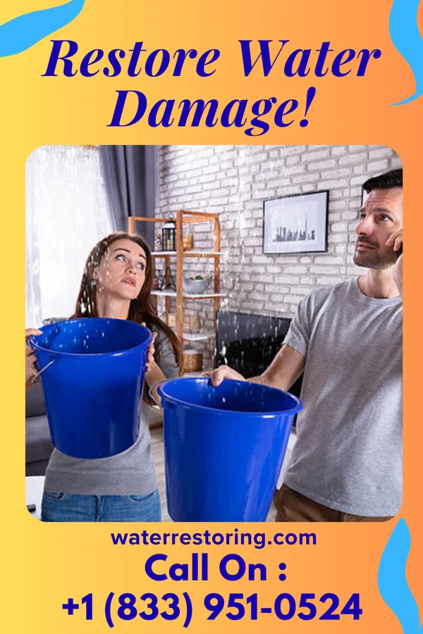 water restoration Solid Damage Recovery Specialists Mount Erie