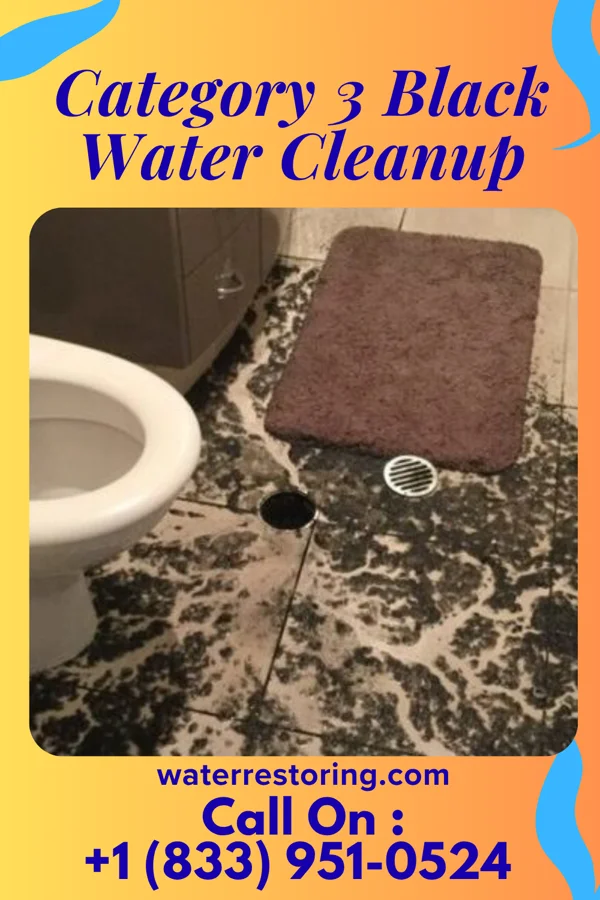 Category 3 Black Water Cleanup in Mount Erie, IL