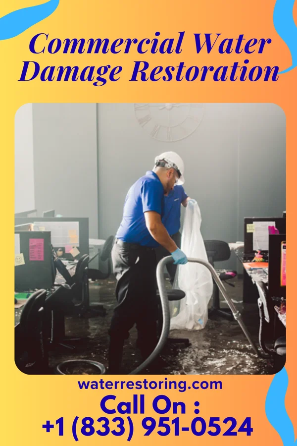 Commercial Water Damage Restoration in Mount Erie, IL