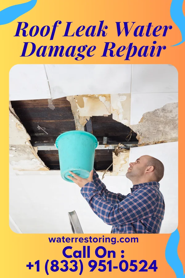Roof Leak Water Damage Repair in Mount Erie, IL