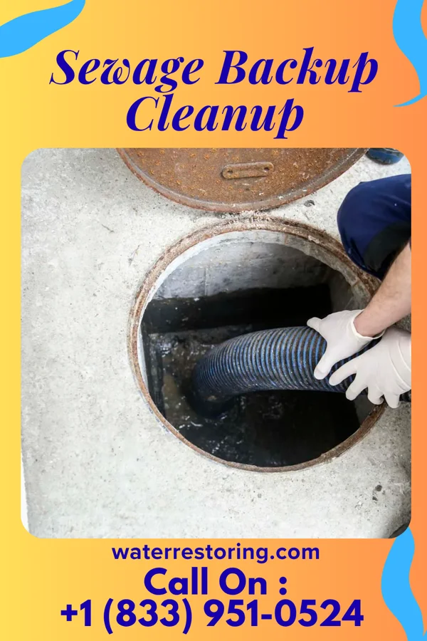 Sewage Backup Cleanup in Mount Erie, IL