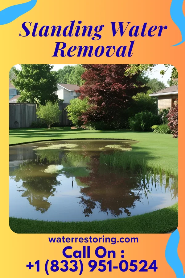 Standing Water Removal in Mount Erie, IL